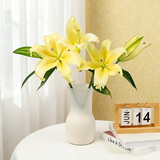 黄色百合5朵(2-3枝）