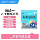 爱立方冻干美毛超能粒猫用冻干粮五星认证鱼油磷虾5效合1试吃装3.5g