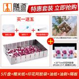 膳道阿胶盘牛轧糖雪花酥模具盘阿胶糕切条模具不锈钢模具盘冷却定型盘 分割盘+糯米纸+印花袋