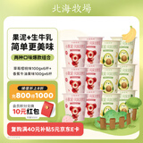 北海牧场小果泥2种口味100g*12杯香蕉牛油果+草莓樱桃高钙低温儿童酸奶