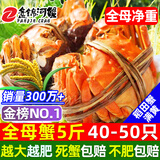 【活蟹】网兜蟹辽宁盘锦河蟹稻田河蟹礼盒螃蟹鲜活大闸蟹无绳净重 全母蟹丨1.0-1.3两【5斤】40-50只