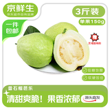 京鲜生白心芭乐番石榴净重3斤 单果150g起 脆果 水果源头直发包邮