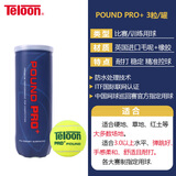 天龙（Teloon） 网球比赛训练习用球高弹耐磨 PRO+POUND 3粒装
