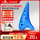 天鹅（SWAN）T02陶笛12孔AC中音C调树脂塑料儿童初学入门教学乐器学校专用蓝色