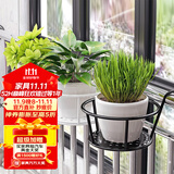 索尔诺悬挂花架阳台多肉架装饰架创意简约花盆挂架绿萝户外花架 三只装-白色【托底直径18】