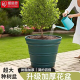 爱丽思（IRIS）特大号圆形花盆种树庭院超大加厚大盆景树木无花果蓝莓果树种植盆 17号绿色 约50L（口径51cm）