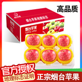 甜醉了 烟台苹果栖霞红富士新鲜水果生鲜山东特产脆甜整箱平果礼盒礼品 高品质礼盒9枚(单果250g+)