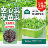 北蔬 芽苗菜种子苗空心菜无土水培盆栽蔬菜种籽 空心菜芽苗菜种子200g