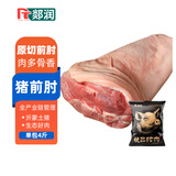 郯润食品 猪前肘4斤/袋(2个装) 冷冻精修去毛猪肘子猪蹄膀生鲜食材