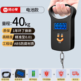 味之享高精度迷你手提电子秤50kg便携式家用快递称小秤弹簧小型挂钩买菜 【爆款推荐】大提环+电池