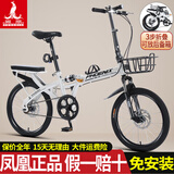 凤凰（Phoenix）可折叠自行车成人男女士2025新款官方超轻便携代步变速免安装单车 单速【双减震/省力轴承】条轮白 20寸【身高145-175cm】