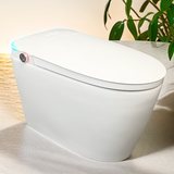 乐瑞（flory）乐瑞智能马桶坐便器一体式全自动翻盖无水压限制即热813 轻智能