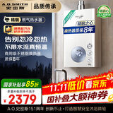 史密斯（A.O.SMITH）佳尼特16升精钢燃气热水器 国家补贴 不锈钢换热器包8年  恒温大水量  抗风防冻 JSQ31-TC1