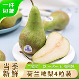 京鲜生荷兰啤梨4粒尝鲜装 软糯香甜 单果130g-170g 源头直发 一件包邮