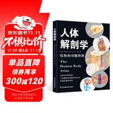 人体解剖学