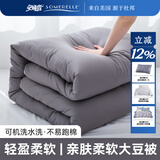 安睡宝（SOMERELLE）七孔大豆被子抗菌被芯空调被双人春秋四季被冬被学生宿舍被褥 轻奢灰（7孔抗菌加厚冬款） 200*230cm