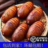 秀庭香大体黑黄蚕蛹500克东北特产柞蚕蛹新鲜活蚕蛹大茧蛹蝉蛹 小黄500克【3-4厘米】