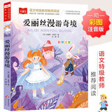 爱丽丝漫游奇境 彩图注音儿童文学 一二三年级课外阅读书必读世界经典文学少儿名著童话故事书 大语文系列 小学语文课外阅读经典丛书