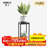 帅力铁艺花架 阳台户外花盆架子双层置物架绿萝盆景架SL8227Z黑