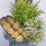 芊芊细语斗南基地直批发玫瑰鲜花全国速递配送女友礼物家用水养插花家庭 10朵香槟玫瑰+洋甘菊+送黄英+送保鲜剂