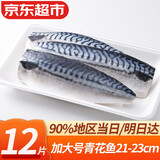 弹指鲜生 挪威青花鱼 大西洋鲭鱼 冷冻鲐鲅鱼固形物≥80% 生鲜 鱼类青鱼 2袋装 共12片 净重1840g