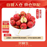 京鲜生 甜红子红山楂 新鲜山楂300g 尝鲜装 生鲜水果