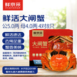 【活蟹】鲜京采大闸蟹 公蟹5两 母蟹4两 4对8只 去绳足重 蟹类螃蟹河蟹生鲜礼盒