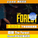 S正版Steam游戏全新白号成品号 森林1（迷失森林） 标准版全新白号
