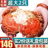 首鲜道 原装进口超大1-2只面包蟹鲜活熟冻螃蟹满黄大螃蟹中秋礼盒 面包蟹 2只共1600-1200g 净重