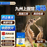 九州上医馆CAWC认证三斑海马3g/一公一母 干货中药饮片儿童营养海马田七汤温肾壮阳海马干煲汤中药材泡酒料男性滋补