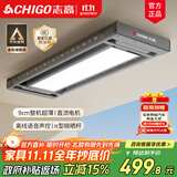 志高（CHIGO） 智能电动晾衣架升降晾衣机阳台智能晾衣机超薄隐形挂衣架晒衣架 灰色+照明横杆语音