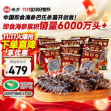 晓芹 大连冷冻即食海参500g 7-9只 辽刺参 海鲜水产