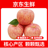 绿水秦川正宗陕西红富士苹果水果时令脆甜丑苹果新生鲜孕妇水果生鲜整箱 严选5斤尝鲜装净重4斤+单果100g+