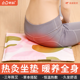 昕科办公室加热坐垫电加热艾灸热敷坐垫蒲团取暖神器暖身发热椅垫