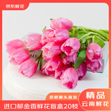 京东鲜花云南昆明基地直发郁金香20支
