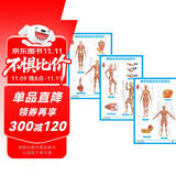人体肌肉神经解剖挂图（3张）/套西医解剖图 医学卫生保健图 经络穴位挂图 家庭养生保健图