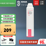 科勒（KOHLER）净水机滤芯KP040\/KP050直饮水机耗材80031\/80041活性炭配件 KP040净味活性炭棒【80031T-R3】