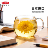 Kinto玻璃杯茶杯日本进口透明耐热水杯办公室泡茶杯一体式过滤茶壶 【人气推荐】手柄杯350ml