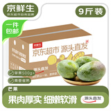 京鲜生 攀枝花凯特芒果 净重9斤 单果500g+ 生鲜水果 源头直发