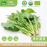 有机汇有机菠菜 绿叶青菜火锅菜有机蔬菜  有机认证农场种植 新鲜无农残 500g