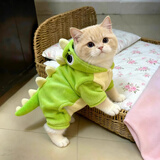 阿莫尔猫咪衣服秋冬加厚保暖可爱恐龙卫衣布偶蓝猫衣服中小型犬宠物衣服 呆萌恐龙【四脚/包肚子/可牵引】 XL