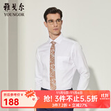 雅戈尔（YOUNGOR）长袖衬衫男DP免烫衬衫纯棉面料抗皱易打理新品 YLDP10171BJA白色 40
