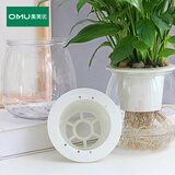 奥美优水培容器花盆植物自吸水绿植绿萝懒人透明免浇水储水盆透气防烂根