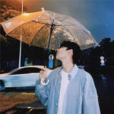 八海鸟透明雨伞长柄手动女生高颜值韩系超轻家用便携学生雨伞上学专用