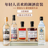 路易布兰登（LOUIS BRANDON）洋酒威士忌白兰地朗姆金酒伏特加5瓶烈酒调酒基酒原酒进口组合装