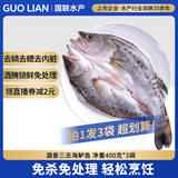 GUO LIAN国联水产 三去海鲈鱼3条/净重2.4斤 海鲜鱼类水产生鲜源头直发