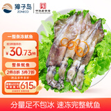 獐子岛 冷冻整只鱿鱼1斤 5-7条 铁板鱿鱼火锅烧烤食材 海鲜软足