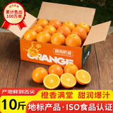 土八鲜赣南脐橙江西橙子赣州脐橙新鲜水果应季水果礼盒 果王净重9-10斤【单果330-450g】