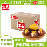佳农宝菜 山东新鲜板栗 油栗子净1斤单果23mm+ 粉糯香甜 源头直发包邮