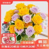 京东鲜花云南昆明基地随机色玫瑰买20枝送10枝鲜花源头直发